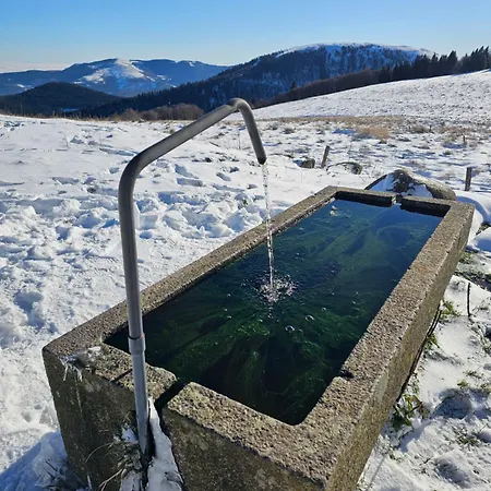 Standing Jacuzzi *
